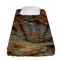 Shell Fossil Fitted Sheet (single Size) by okhismakingart