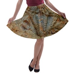 Shell Fossil A-line Skater Skirt by okhismakingart