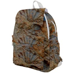 Shell Fossil Top Flap Backpack