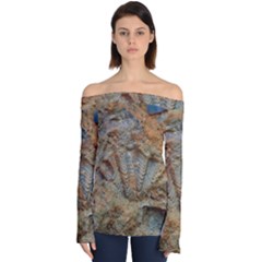 Shell Fossil Off Shoulder Long Sleeve Top by okhismakingart