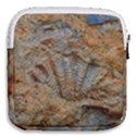 Shell Fossil Mini Square Pouch View2