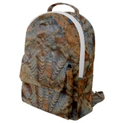 Shell Fossil Flap Pocket Backpack (small)