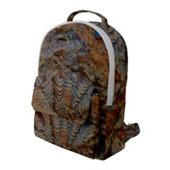 Shell Fossil Flap Pocket Backpack (large)