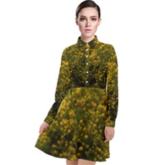 Yellow Goldrenrod Long Sleeve Chiffon Shirt Dress