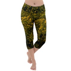 Yellow Goldrenrod Lightweight Velour Capri Yoga Leggings