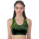 Green Goldenrod Sports Bra View1