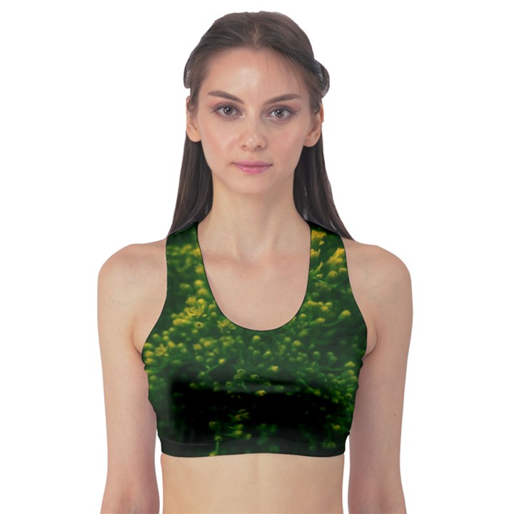 Green Goldenrod Sports Bra