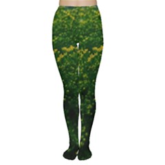 Green Goldenrod Tights by okhismakingart