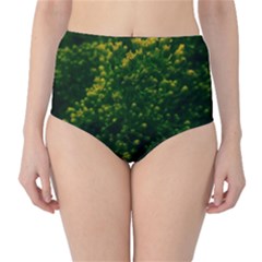 Green Goldenrod Classic High-waist Bikini Bottoms