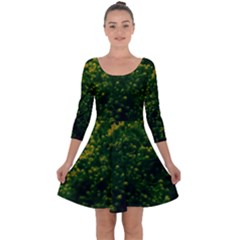 Green Goldenrod Quarter Sleeve Skater Dress by okhismakingart