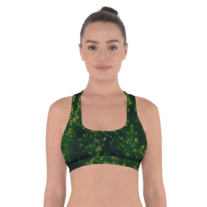 Green Goldenrod Cross Back Sports Bra