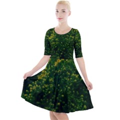 Green Goldenrod Quarter Sleeve A-line Dress