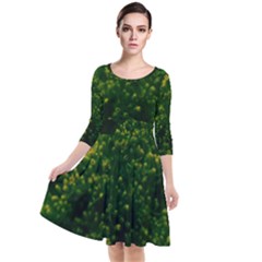 Green Goldenrod Quarter Sleeve Waist Band Dress