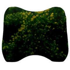 Green Goldenrod Velour Head Support Cushion