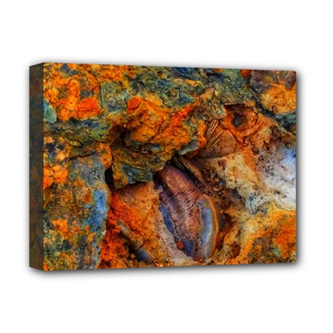 Rainbow Fossil Deluxe Canvas 16  X 12  (stretched)  by okhismakingart