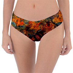 Rainbow Fossil Reversible Classic Bikini Bottoms by okhismakingart