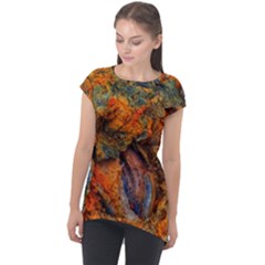 Rainbow Fossil Cap Sleeve High Low Top