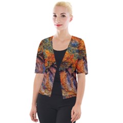 Rainbow Fossil Cropped Button Cardigan