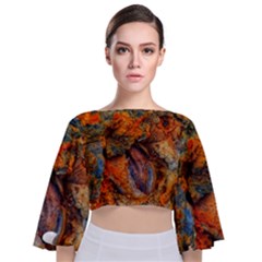 Rainbow Fossil Tie Back Butterfly Sleeve Chiffon Top by okhismakingart