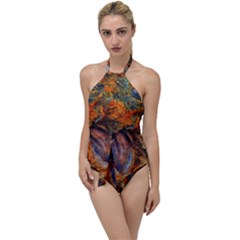 Rainbow Fossil Go With The Flow One Piece Swimsuit by okhismakingart