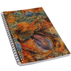 Rainbow Fossil 5 5  X 8 5  Notebook