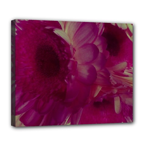 Pink Highlighted Flowers Deluxe Canvas 24  X 20  (stretched) by okhismakingart