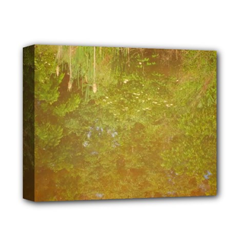 Lake Reflection Deluxe Canvas 14  X 11  (stretched) by okhismakingart