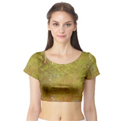 Lake Reflection Short Sleeve Crop Top by okhismakingart