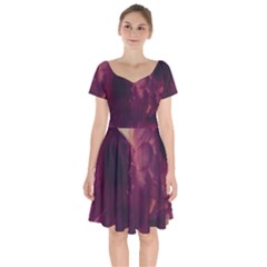 Purple Highlighted Flowers Short Sleeve Bardot Dress by okhismakingart