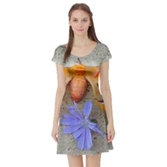 Moth And Chicory Short Sleeve Skater Dress by okhismakingart