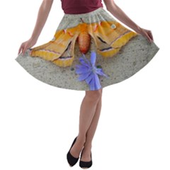 Moth And Chicory A-line Skater Skirt by okhismakingart