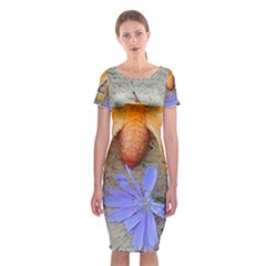 Moth And Chicory Classic Short Sleeve Midi Dress by okhismakingart