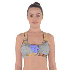 Moth And Chicory Cross Back Sports Bra by okhismakingart