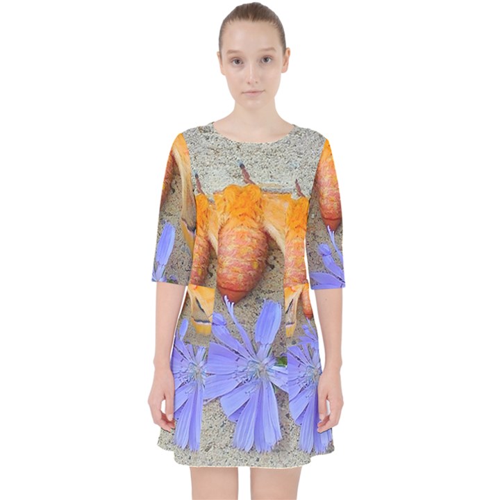 Moth and Chicory Pocket Dress