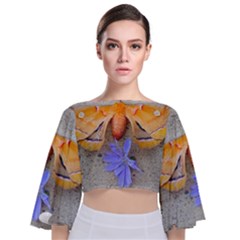 Moth And Chicory Tie Back Butterfly Sleeve Chiffon Top