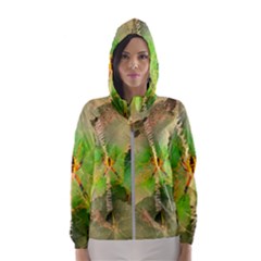 Orb Spider Women s Hooded Windbreaker by okhismakingart