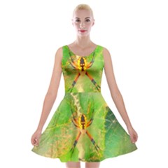 Orb Spider Velvet Skater Dress by okhismakingart