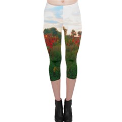 Red Weeds Capri Leggings  by okhismakingart