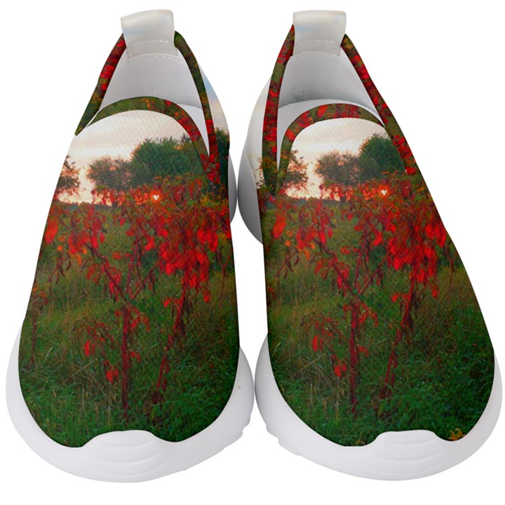 Red Weeds Kids  Slip On Sneakers