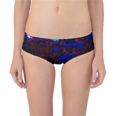 Red-edged Blue Sedum Classic Bikini Bottoms by okhismakingart