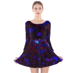 Red-edged Blue Sedum Long Sleeve Velvet Skater Dress by okhismakingart