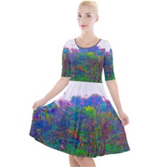 Neon Weeds Quarter Sleeve A-line Dress