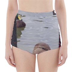 Framed Ducks High-waisted Bikini Bottoms by okhismakingart