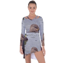 Framed Ducks Asymmetric Cut-out Shift Dress by okhismakingart