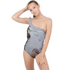 Framed Ducks Frilly One Shoulder Swimsuit