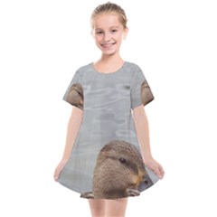 Framed Ducks Kids  Smock Dress