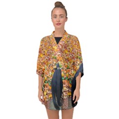 Luna Standing Half Sleeve Chiffon Kimono