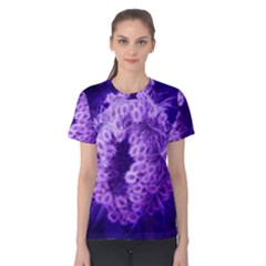 Dark Purple Closing Queen Annes Lace Women s Cotton Tee