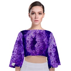 Dark Purple Closing Queen Annes Lace Tie Back Butterfly Sleeve Chiffon Top by okhismakingart