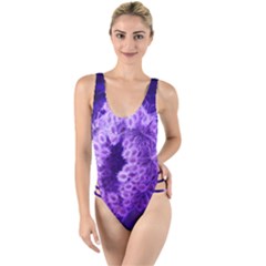 Dark Purple Closing Queen Annes Lace High Leg Strappy Swimsuit